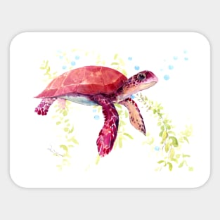 Babe Sea Turtle Sticker